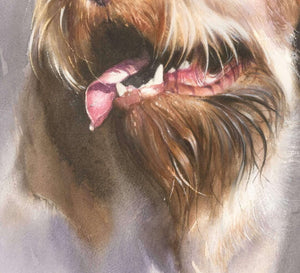 "Smile of Spinone" Author's signed print