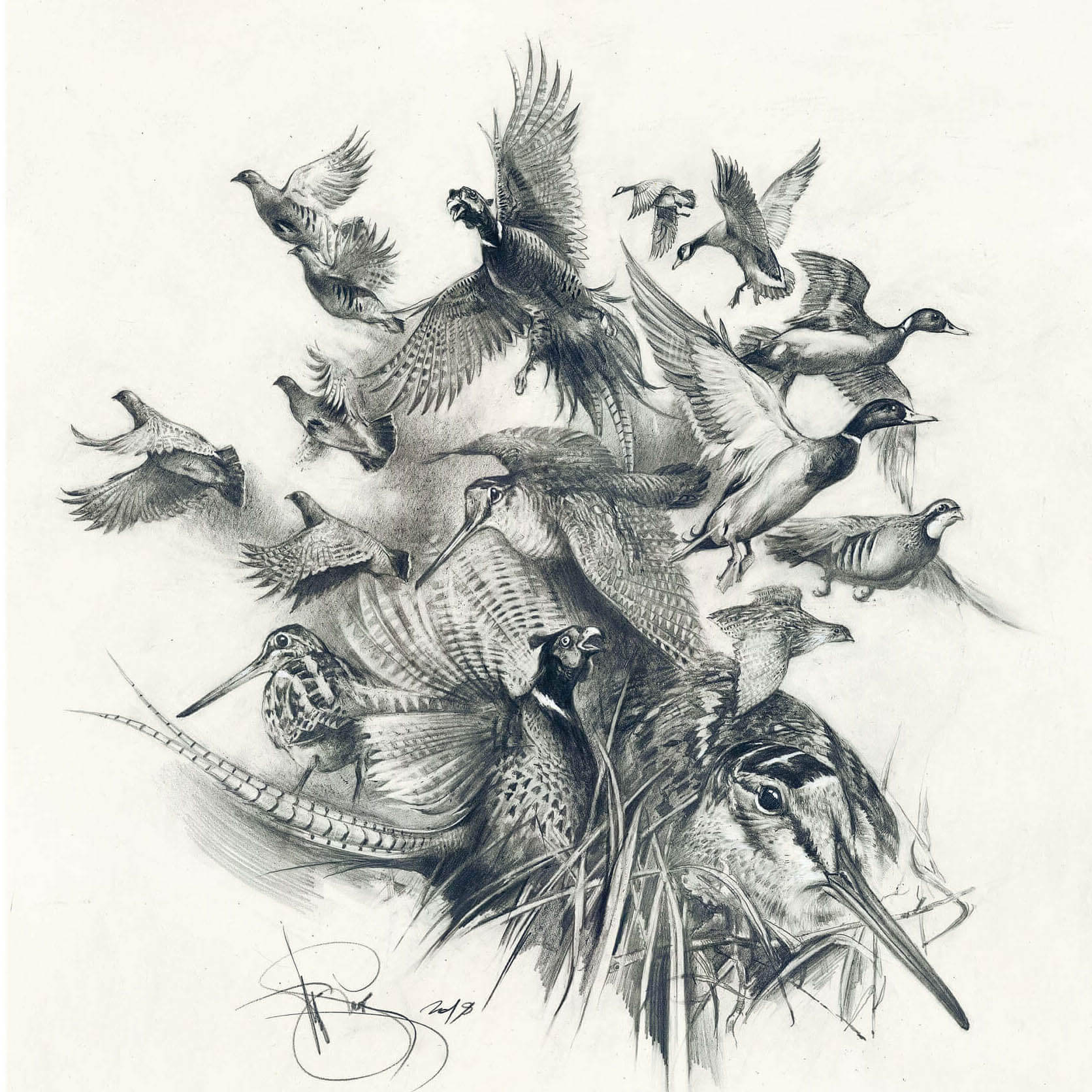 Black & White Bird Art Print by Joanna Haber | iCanvas