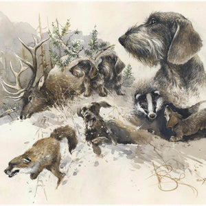 Author's print "Wirehaired Dachshund. Hunting"