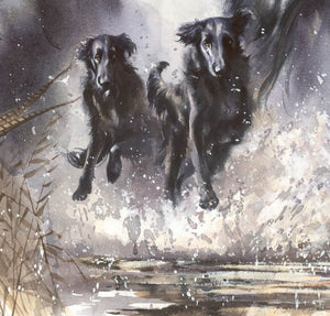 Author's signed print "Flatcoated Retrievers. Waterfowl hunting "