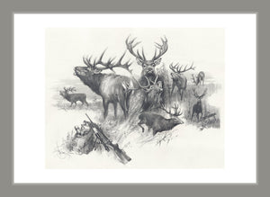 Author's signed print "Red Deer"