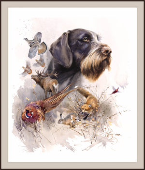 Author's print "Dreams of hunting. German Wirehaired Pointer"