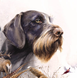 Author's print "Dreams of hunting. German Wirehaired Pointer"