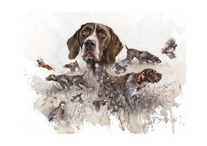 Author's print "German Shorthaired Pointer. Pointing"