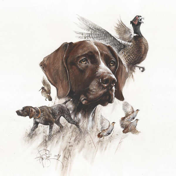 Author's print "GSP. Bird hunting"