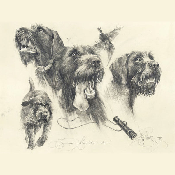 Author's print "German Wirehaired Pointer. Hunting."