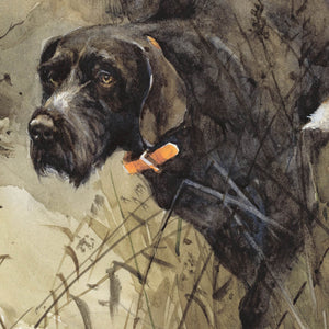 Author's print "German Wirehaired Pointer. Hunting Memories"