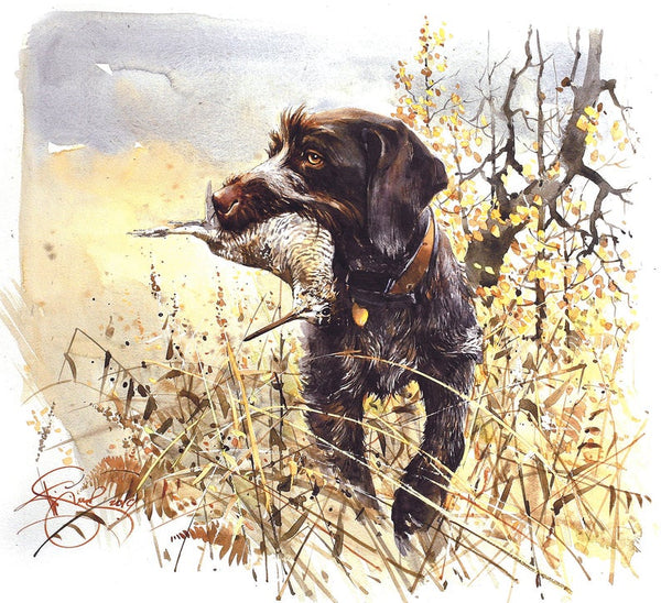 "Woodcock hunting"
