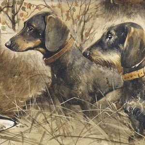 Author's print "Hunting with Dachshunds in Hazelglade"