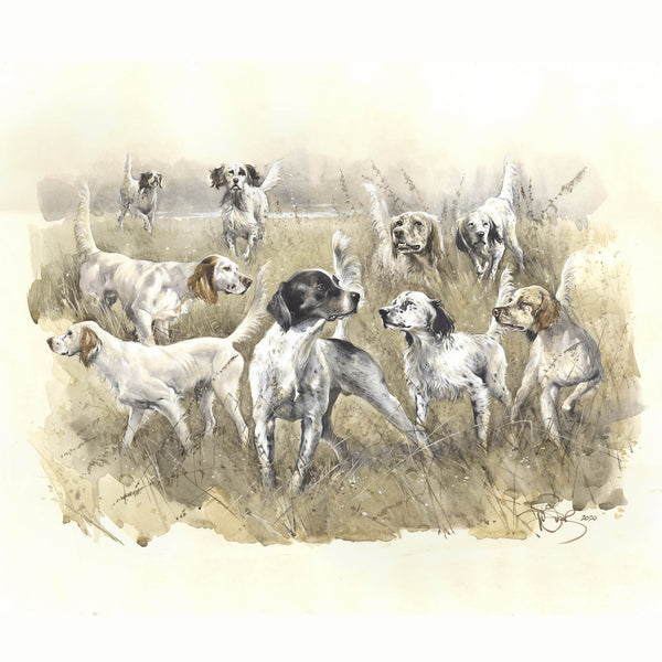 Author's signed print "Infield. Llewellin Setter"