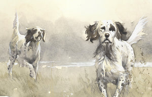 Author's signed print "Infield. Llewellin Setter"