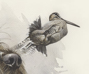 Author's print "Love for wild birds"