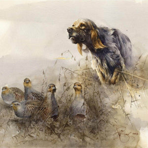 Author's print "Meeting with partridges. English Setter."
