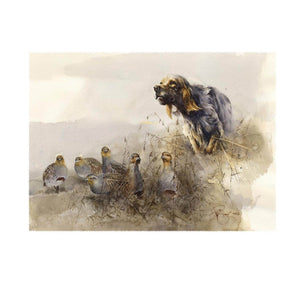 Author's print "Meeting with partridges. English Setter."