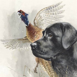 Author's print "Labrador hunting"