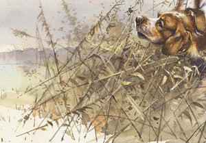 Author's print "Partridge Hunting"