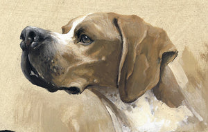 Author's print "Pointer. Breed Variety"