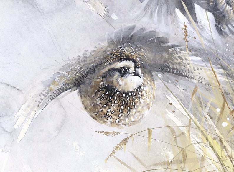 Pointer Dogs Hunting Quail Birds Cabin Art Print - 8x10 Inch Unframed Lodge Decor