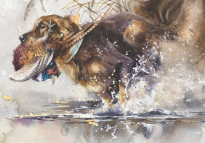 Author's signed print "Waterfowl King. Golden Retriever"