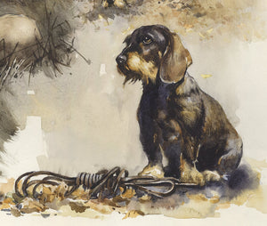 Author's signed print "Wirehaired Dachshund. Blood trail hunting"