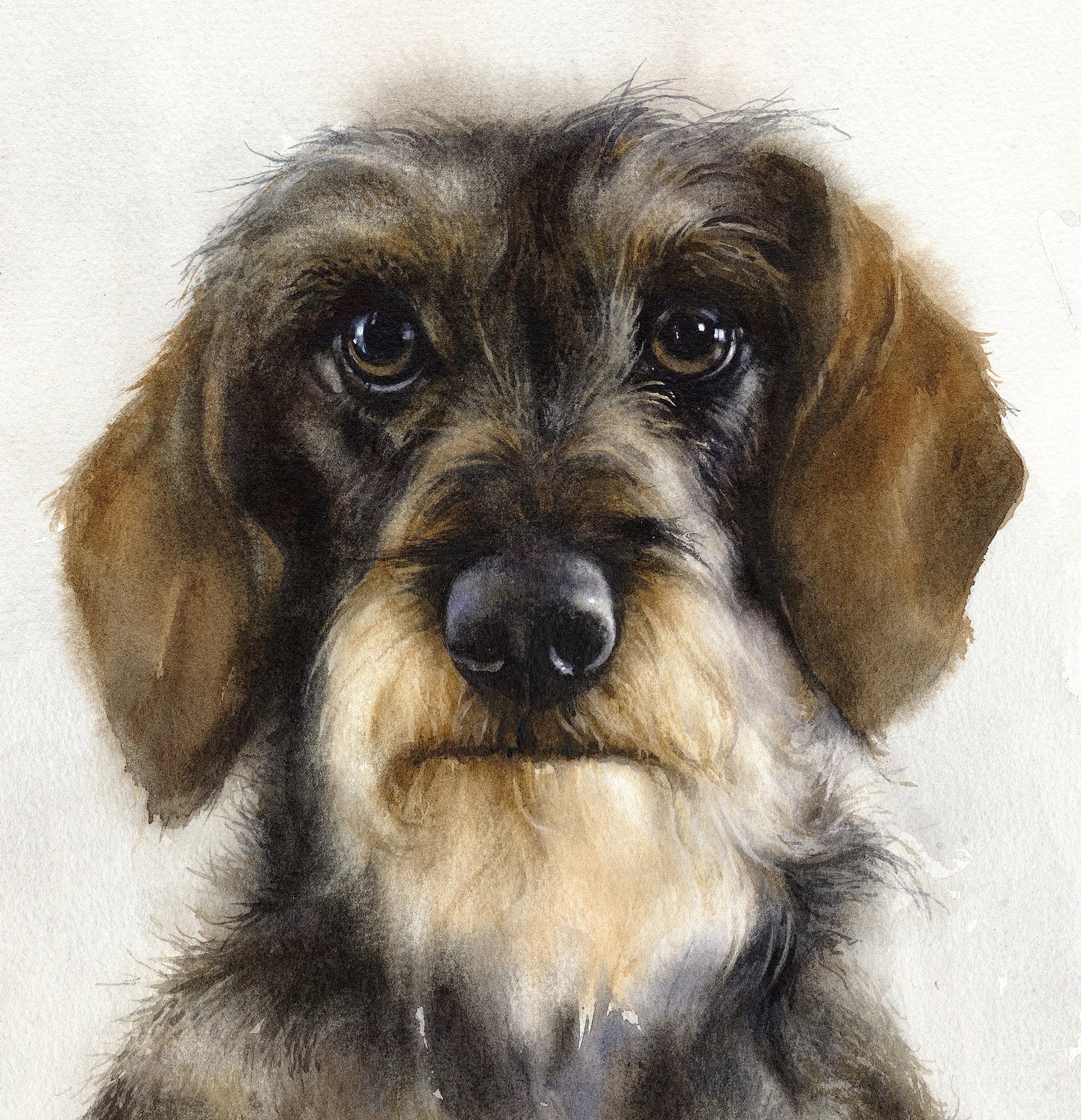 Wire hair weiner sales dog