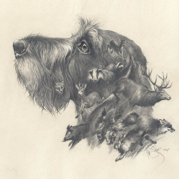 Author's print "Wirehaired Dachshund. Oh, my dreams..."