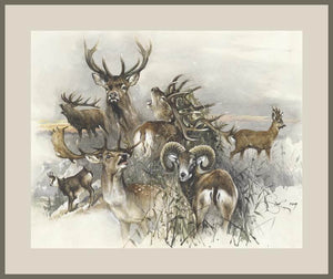 Author's signed print "Trophy Hunting"