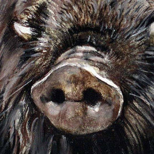 Author's signed print "Wild Boar"