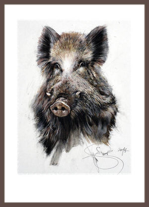 Author's signed print "Wild Boar"