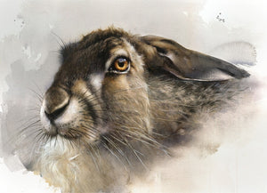 "Wild Hare"