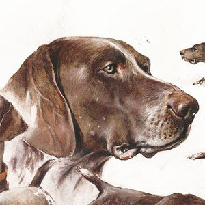 Author's print "Hunting with German Shorthaired Pointer"