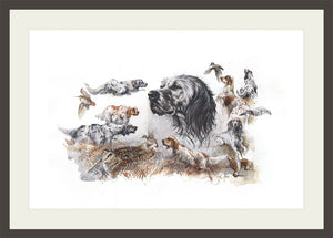 Author's print "Hunting with the English Setter"